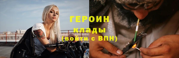 молекула духа Вяземский