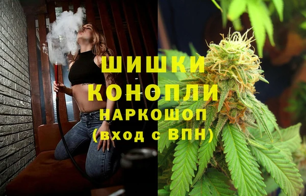 PSILOCYBIN Бронницы